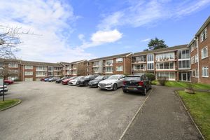 Photo 9- click for photo gallery